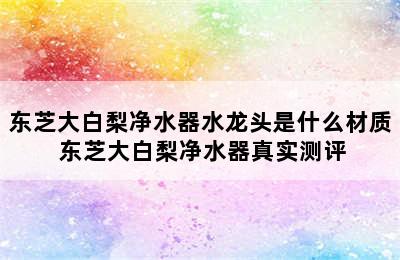 东芝大白梨净水器水龙头是什么材质 东芝大白梨净水器真实测评